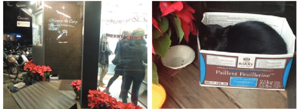 圖 5  甜點店前踡臥的黑貓  資料來源：本研究拍攝。  不論是商業考量或情感因素，店家對貓友善並提供餵食點或主動關照街貓狀態，與愛爸愛媽 的餵食網絡接繫，確保了街貓在街道開放空間中的生存餘裕，某些貓甚至「半馴養化」而成為人 人有機會親近的「街道寵物」 。這促得當地親人街貓出現頻率較高，路過的學生或年輕消費者常駐 足試圖與貓互動。一般而言，比起有房產的住戶，不住當地或僅為房客的學生或消費者，更傾向 與貓產生親密情誼（受訪者 D2, P2, P3）。  2.街貓巷弄中異質行動者的空間折衝  街貓友善風景儼然成