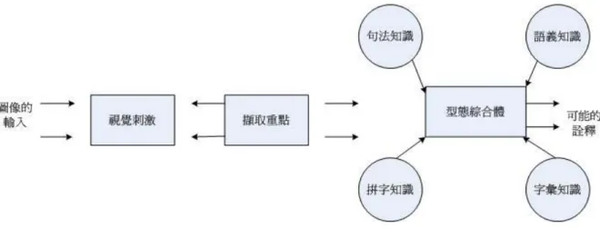 圖 2-1-4   Rumelhart 的閱讀模式圖（引自曾陳密桃,1989）  Rumelhart（1977）指出圖像輸入產生訊息，而此訊息中擷取許多重 點。在擷取重點的同時，句法的、語意的、字彙的以及拼字的訊息是同時 並用的，如圖 2-1-4 所示。在初級中文閱讀教學時，結合了字與詞的教學 更強化了此種相互交作用模式的應用。藉由文字的刺激可以觸發更多詞彙 的想像，再加上學習者自我的先備知識（prior knowledge）和後設認知 能力的輔助學習，定能達到學習效益。每一種知識來源可以使用其他來源 所提