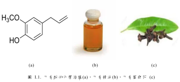 圖  I.1. 丁 香酚 的 化 學 結構 (a)， 丁 香 精 油 (b)， 丁香 葉 與 花  (c) 