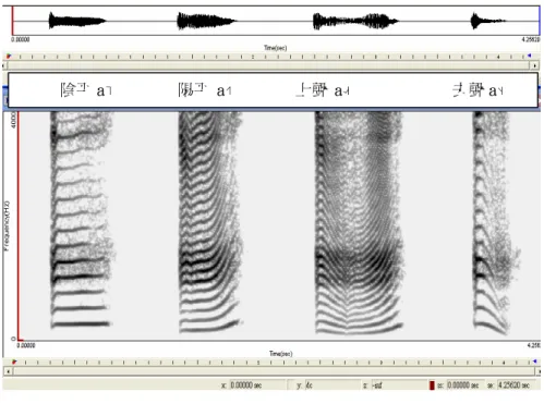 圖 10：發音人 FM 的「a」之漢語四個聲調之語圖  A、 陰平  陰平屬於高平調，主要分別發生在第五和第四個高度（5-5：50％；4-4： 40％） （表 16）。  表 16：漢語陰平換算成五度制標調表  五度標調值  數量  百分比  5-5  5  50%  4-4  4  40%  3-3  1  10%  B、 陽平  陽平屬於中高上揚調。陽平的起點在第二或第三度，終點都落在第五 度。2-5 高度的陽平佔 60％，3-5 佔 40％（表 17） 。  表 17：漢語陽平換算成五度制標調表  五
