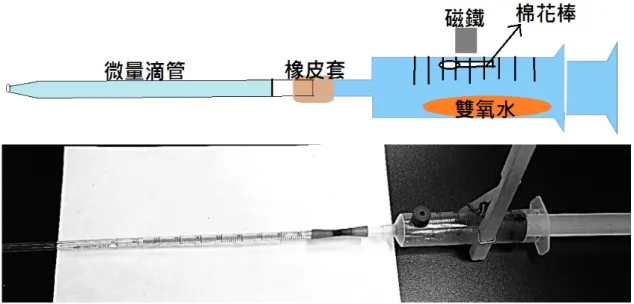 圖 三 、 組 織 樣 本 之 觸 酶 活 性 測 量 的 實 驗 裝 置 示 意 圖 (上 )與 照 片 (下 )。   3. 比 較美 洲 蟑 螂 和文 蛤 的 觸 酶活 性 反 應   利 用 過 氧 化 氫 溶 液 作 為 氧 化 劑 造 成 氧 化 壓 力 ， 不 同 濃 度 的 過 氧 化 氫 溶 液 代 表 不 同 程 度 的 氧 化 壓 力，而 維 生 素 C 溶 液 則作 為 還 原 劑 。 我 們 將 過 氧 化 氫 溶 液 的 體 積 莫 耳 濃 度 和 維 生 素 C 溶液 的 體積