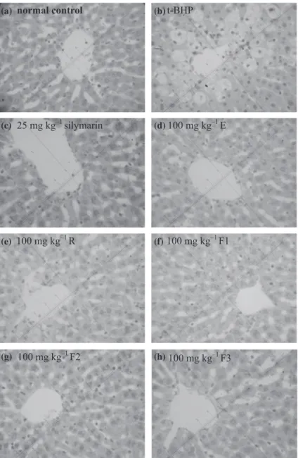 Figure 3 Effects of propolis on t-BHP- t-BHP-induced liver damage. (a) Normal control group; (b) animals treated with t-BHP; (c) animals treated with t-BHP and then with 25 mg kg )1 silymarin; (d–h) animals  pre-treated with 100-mg kg )1 propolis extract (