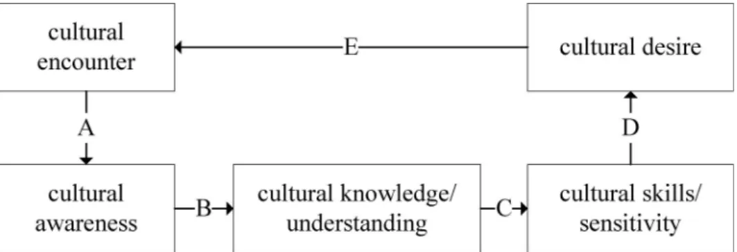 Figure 1. Cultural competence connotation and process