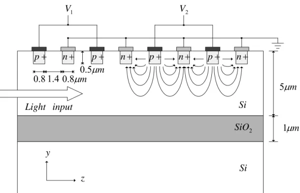 Fig. 4-5 Cut view of the section of our designed 32×32 PBG wavelength  switch. Integrated doped regions and current flow are indicated