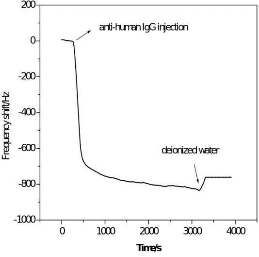 圖 3-6 塗佈 PVDF 石英壓電晶體對 anti-IgG 抗體之不可逆訊號 