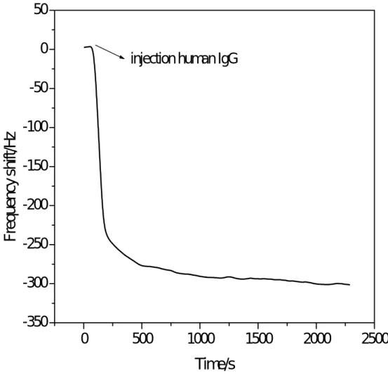 圖 3-8 固定化之碳六十/Anti-IgG 抗體石英晶片對 IgG 抗體的感測訊 號 