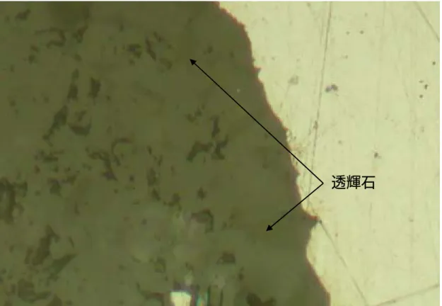 圖 3-10  光片中顏色較深的為透輝石。