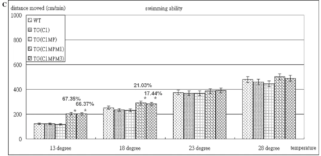 Fig. 18. Swimming ability of three kinds of promoters derived carp M-CK transgenic zebrafish and wild-type zebrafish