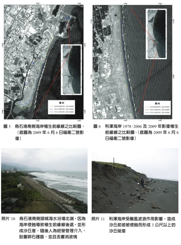 圖 5  烏石港南側海岸植生前緣線之比較圖。 （底圖為 2009 年 6 月 6 日福衛二號影 像） 圖 6  利澤海岸 1978、2006 及 2009 年影像植生前緣線之比較圖。（底圖為2009 年 6 月 6日福衛二號影像） 照片 10  烏石港南側頭城海水浴場北端，因為 海岸侵蝕導致植生前緣線後退，並形 成沙丘崖，隨後人為經營管理介入， 設置卵石護面，並且丟置消波塊 照片 11  利澤海岸受颱風波浪作用影響，造成沙丘前坡被侵蝕而形成 3 公尺以上的沙丘陡崖