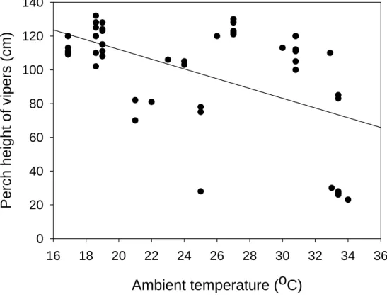 Figure 3-3. The correlation between perch height of green tree vipers and  ambient temperature within the enclosure (n = 52, p < 0.001***, R = -0.542)