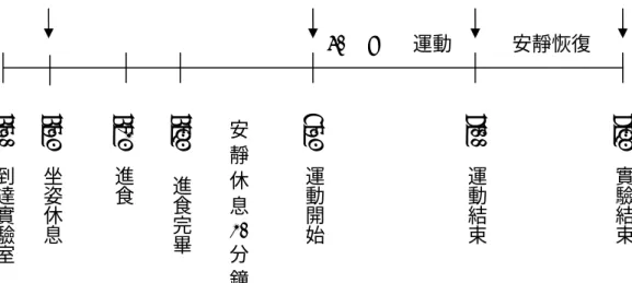 圖 3  運動試驗之採血流程圖。  ↓:  代表採血時間。  （三） 血液分析          本 研 究 之 血 漿 瘦 體 素 濃 度 檢 測 係 採 放 射 免 疫 分 析 法  (Radioimmunoassay, RIA) 進行定量分析，由於實驗室並無相關設備，因此 所有檢體皆委託台北市邱內科聯合醫事檢驗中心代為測定。主要檢測方式 簡述如下（詳細檢測程序見附錄三） ：  1.檢測方法：RIA 