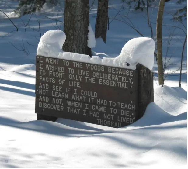 圖 18    梭羅小木屋遺址旁的木碑。攝於 2005 年 1 月 27 日。