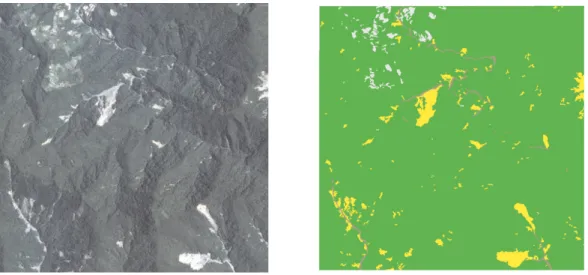 Figure 1  Samples for Formosat 2 imagery and the corresponding land cover mapping  (Green: vegetation, Yellow: landslide, Brown: riverbed, Gray: miscellaneous) 