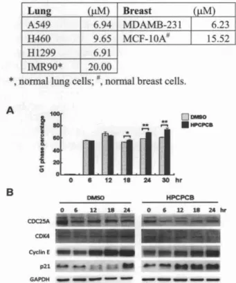 Table 1. Cyt otoxicity of HPCPCB on nonnal human lung cells , normal breast cells , various lung carcinoma cells , and breast cancer cells