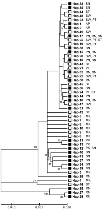 Fig. 2-3  Unrooted Neighbor-  Joining tree of Ceriops tagal  haplotypes. Numbers on  branches are bootstrap values of  1,000 replicates