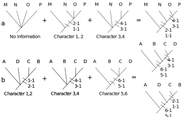 圖 2-3-3  根據包含/排除法則整合不同變換系列所得到的訊息整合至樹型圖的兩個例子  ̣ă࠹၆ཱྀᇈՙؠڱ݋! Henning(1966)及 Brundin(1966)指出系統發育分析的主要任務便在於「尋找 姊妹群」 。只要我們能找到一個類群，其親緣關係和正著手研究的類群關係最接 近，我們便有基本的工具可用以決定一變換系列中哪些特徵是近祖徵，哪些特徵 是近裔徵。Henning 推論姊妹群的特徵在正確判定研究類群內部的極性方面極為 重 要 。 決 定 特 徵 極 性 最 簡 單 的 法 則 可 表 述 為 