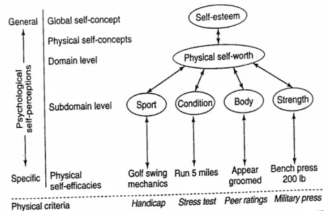 圖 2.1-4 Sonstroem, Harlow &amp; Josephs(1994)身體自我概念結構圖 