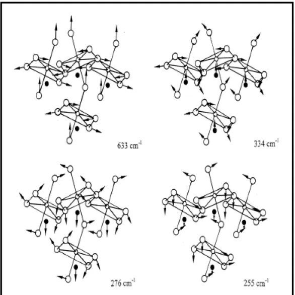 圖 4.2.1  鈮酸鋰的 A 1 (TO)正則聲子振動模中每個原子的位移  (Cartesian Displacements) 