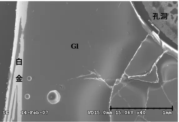 圖 3-3、1275℃反射電子影像圖，只見單一玻璃相（Gl）。  圖 3-4、1210℃反射電子影像圖，圖中為玻璃（Gl）＋斜長石相（Pl）＋鐵鎂 尖晶石（Pn）。  Gl  Pl  Gl Pl Pn Pn 白金 孔洞 孔洞 碳膠帶 孔洞 