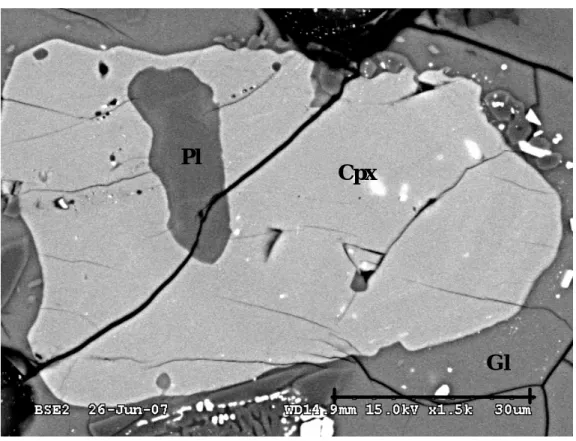 圖 3-6-3、1135℃反射電子影像圖，圖中為玻璃（Gl）＋斜長石（Pl）＋斜輝 石（Cpx）。 