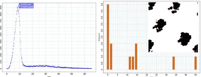 圖 4.1.1-8 TiO 2 (H 2 O)/ Cu/Si，基底以 45 度傾角浸入：有「z 形粒子」的 AFM 影像 