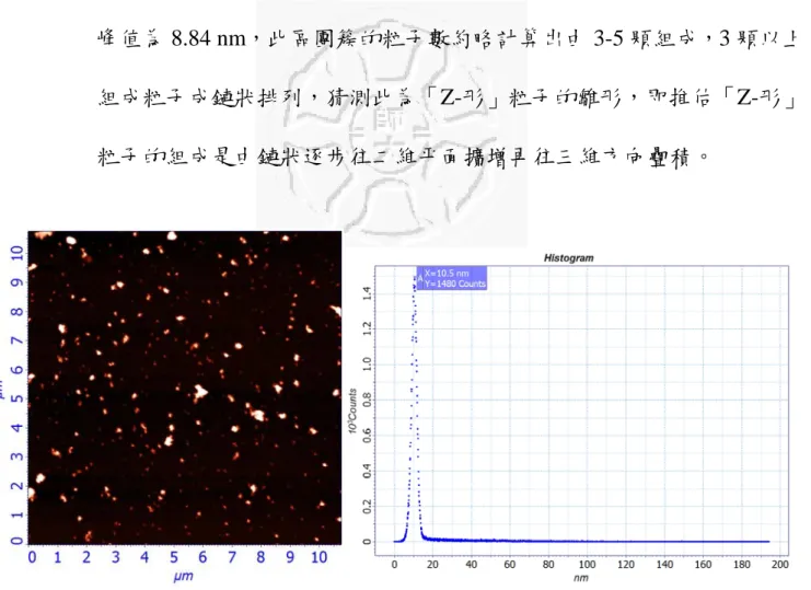 圖 4.1.1-9 TiO 2 (H 2 O)/ Cu/Si，基底以 45 度傾角浸入：Cu/Si 基底出現缺陷 AFM 影像 