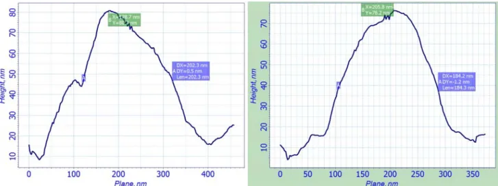 圖 4.1.1-11  TiO 2 (H 2 O)/ Cu/Si，基底以 45 度傾角浸入：AFM 影像 
