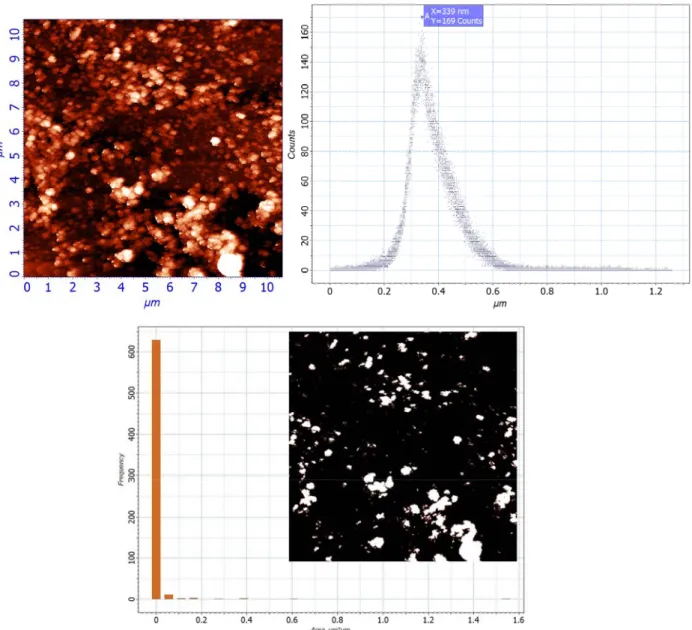 圖 4.1.1-7 TiO 2 (H 2 O)/ Cu/Si，基底以 45 度傾角浸入：10×10μm 2 表面影像、Roughness、與 Area Histogram(定 Z=0.5              μm) 