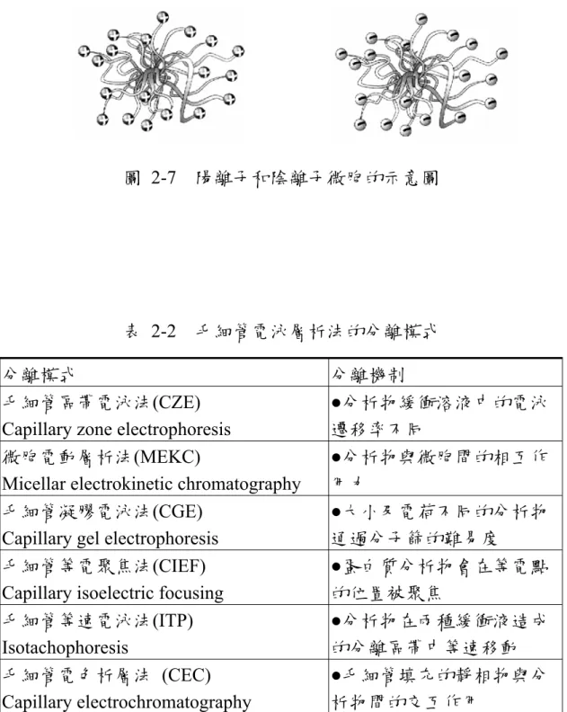 圖 2-7  陽離子和陰離子微胞的示意圖 