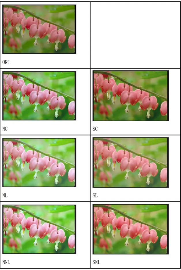 圖 4-4  花朵植物之測試影像(2)原稿與壓縮後之影像 