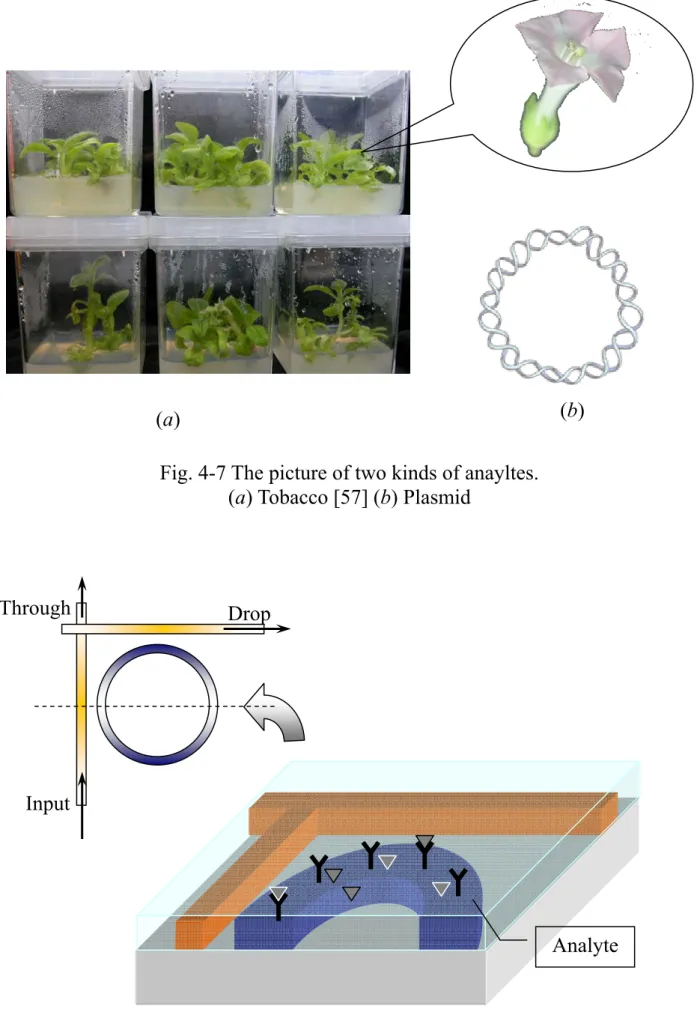 Fig. 4-8 Laterally coupled microring resonator and waveguides.     