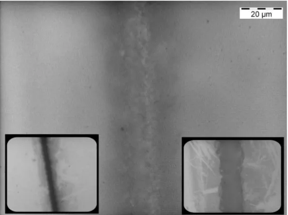 Fig. 3.5 The OM picture of channel waveguide in fused quartz glass with  writing speed of 5mm/s and power of 10 W.