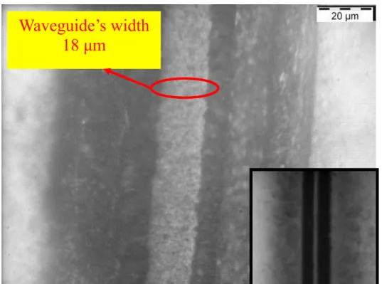 Fig. 4.5 Optical microscope photograph of waveguide fabricated by using  Nd:YVO 4  laser writing on SOI