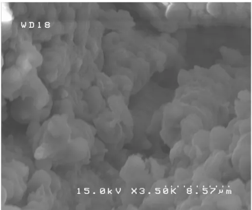 Fig. 4.13 Bottom of ditch which was drilled by using Nd:YVO 4  laser. 