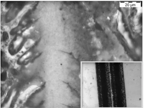 Fig. 4.16 Optical microscope photograph of waveguide fabricated by  using Nd:YAG laser writing in SOI, with writing power of 80% to 35W