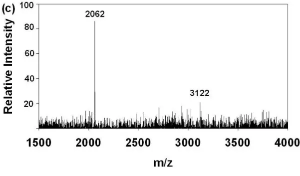 Figure 6. MALDI-TOF MS spectrum of Fe (III) IMAC purified 0.1 µg tryptic β-casein  peptide mixtures