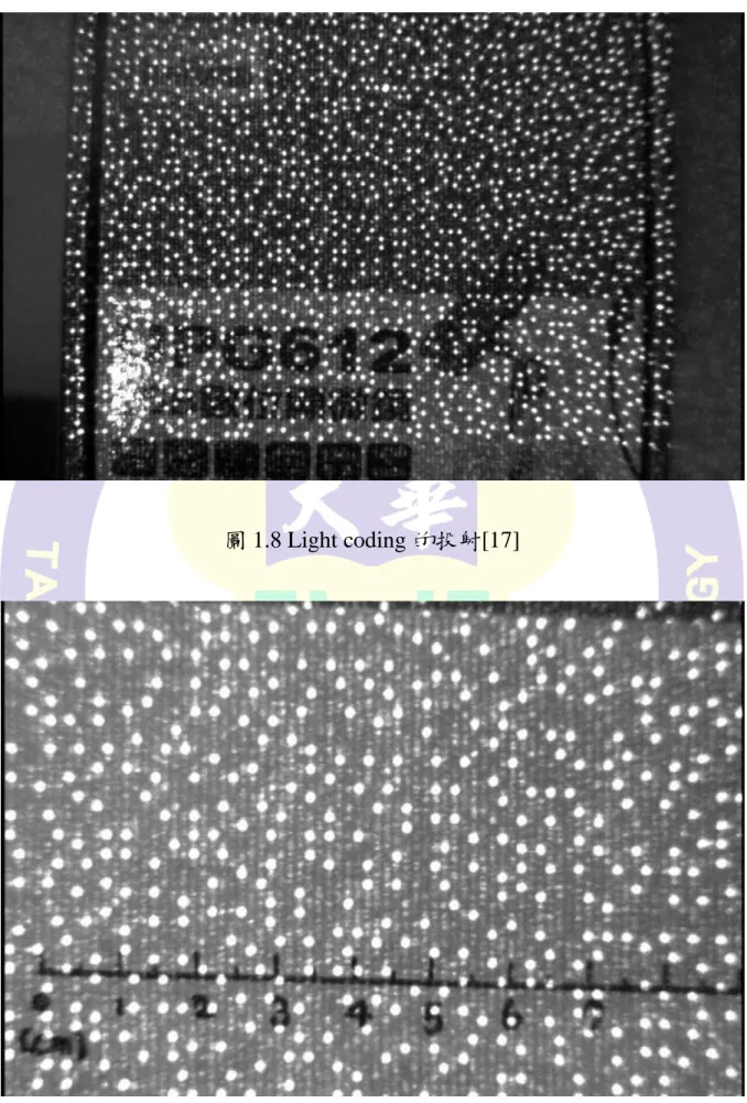 圖 1.8 Light coding 的投射[17] 