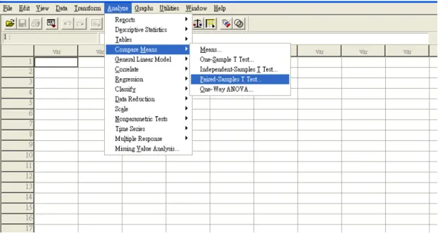 圖 2-8 SPSS（ （ （ （Statistics Package for Social Science） ） ） ）軟體 軟體 軟體 軟體