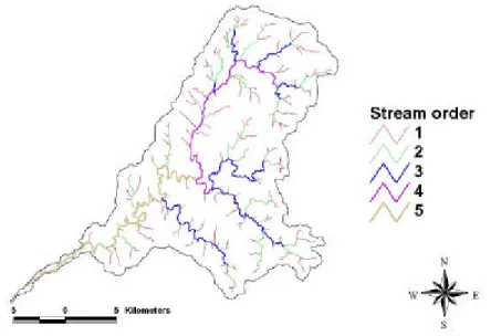 Fig. 3 Stream network of the study site. 