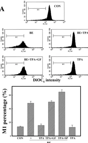 Fig. 7 Reduction of the mitochondrial membrane potential with the re- re-lease of cytochrome (Cyt) c protein to the cytosol is involved in baicalein (BE)-induced apoptosis