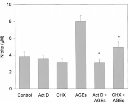Fig. 4. Effects of actinomycin D and cyclohexamide on AGEs-induced nitrite production in C6 glioma cells