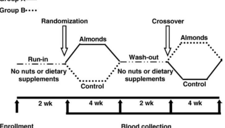 Fig. 1. Study design.2S.-C. Li et al. / Metabolism Clinical and Experimental xx (2010) xxx–xxx