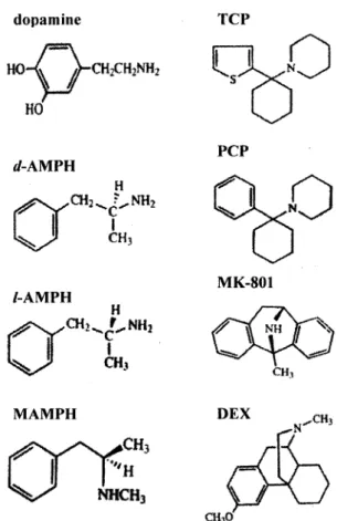 Fig. 1. The chemical structures of dopamine, d-AMPH, l-AMPH,