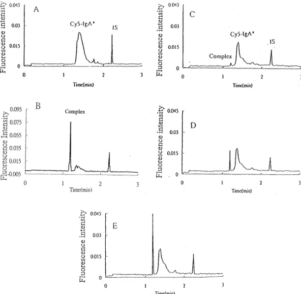 Fig. 2. Immunocompetitive assay: (A) Cy5–sIgA (20 mg / 20 ml) alone, (B) (A) mixed with 10 mg / 10 ml anti-sIgA, (C) (B) mixed with 3.15