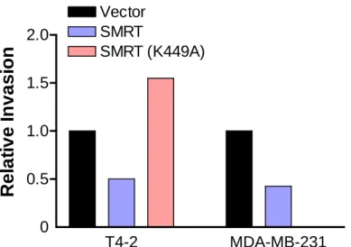 Figure 4    Effect of SMRT on the invasive capacities of neoplastic MECs. T4-2 cells or  MDA-MB-231 cells that stably express SMRT or an empty vector were allowed to invade  through a thin-layer of rBM using the modified Boyden chamber assay and invaded ce