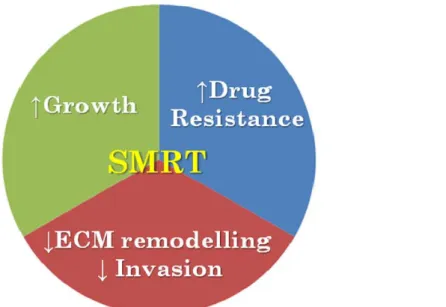 Figure 7    Summary diagram of the proposed model of the pleiotropic control of malignant  traits of neoplastic MECs by SMRT