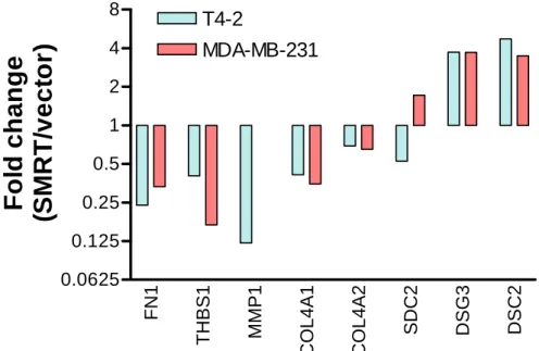 Figure 1    Verification of SMRT-mediated changes in gene expressions. Fold changes in the  mRNA expression levels of selected SMRT-regulated genes comparing between 
