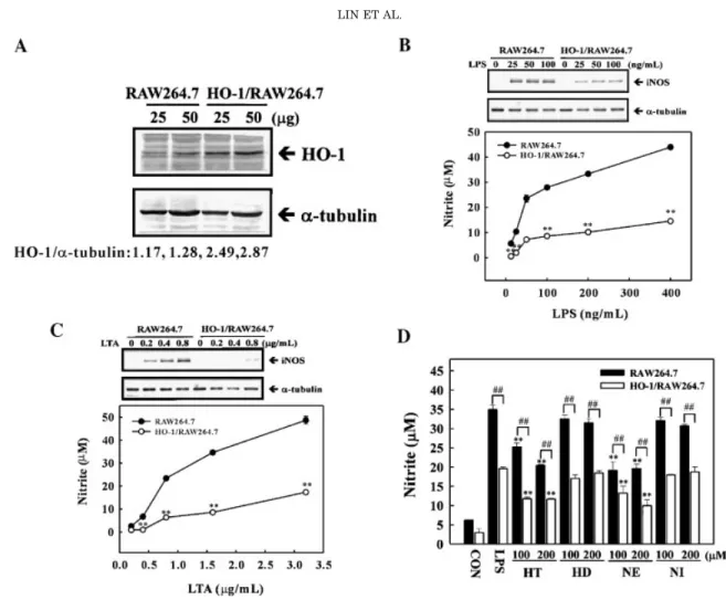 Fig. 8. HO-1/RAW264.7 cells potentiated the inhibitory activities of LPS- and lipoteichoic acid (LTA)-induced NO production
