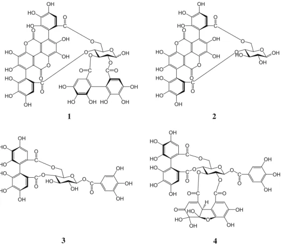 Fig. 2. Structures of the four hydrolysable tannins, punicalagin (1), punicalin (2), strictinin A (3), and granatin B (4), isolated from Punica granatum L.