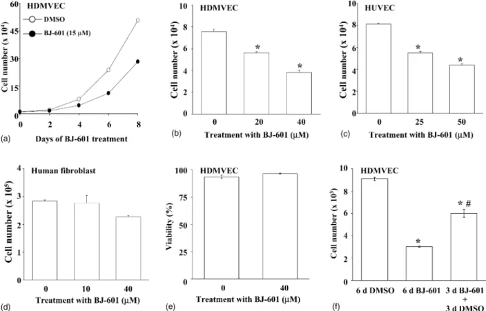 Fig. 2. Effects of BJ-601 on cell growth rate in subcultured human vascular endothelial cells